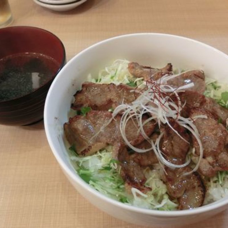 銘柄豚丼(餃子の大安 )