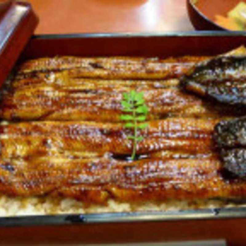 うな重(駿河屋)