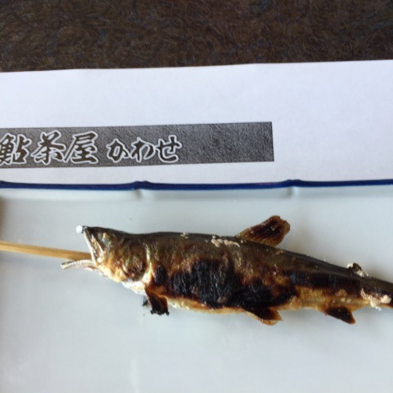 早春コース(鮎茶屋かわせ)