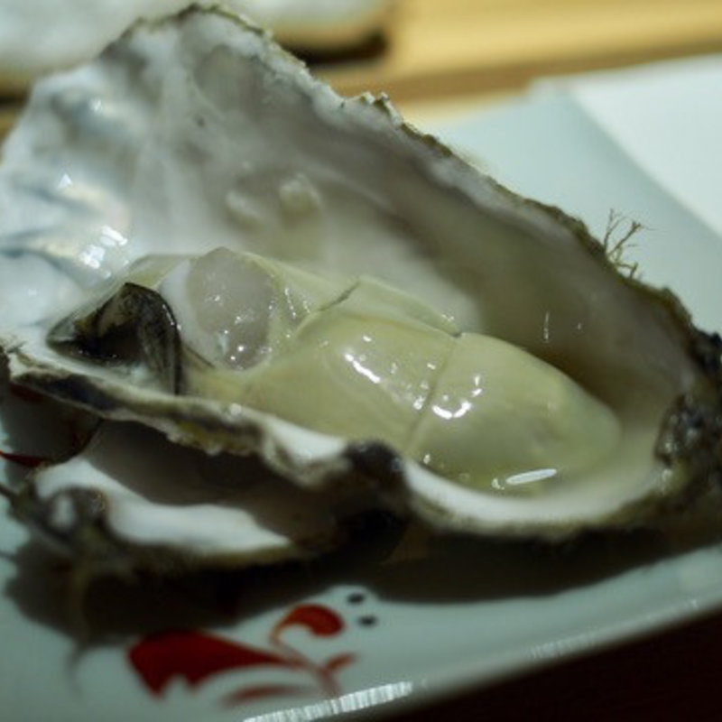 生牡蠣(鮨 麻葉)