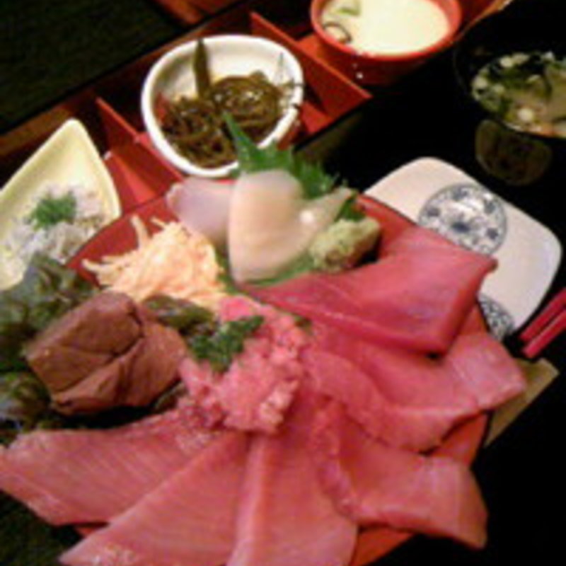 みなみ鮪中とろ丼(鮨処 若いわい 音羽町店 )