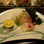 活け締めの鯛