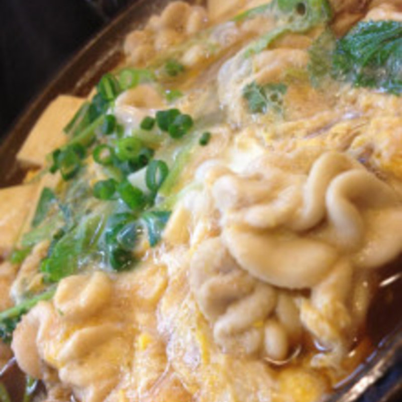 手羽ぎょうざ(鳥昇)