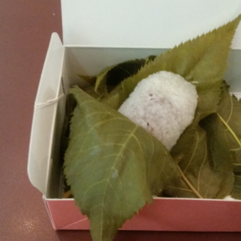 さくら餅(鶴屋寿 本店 )