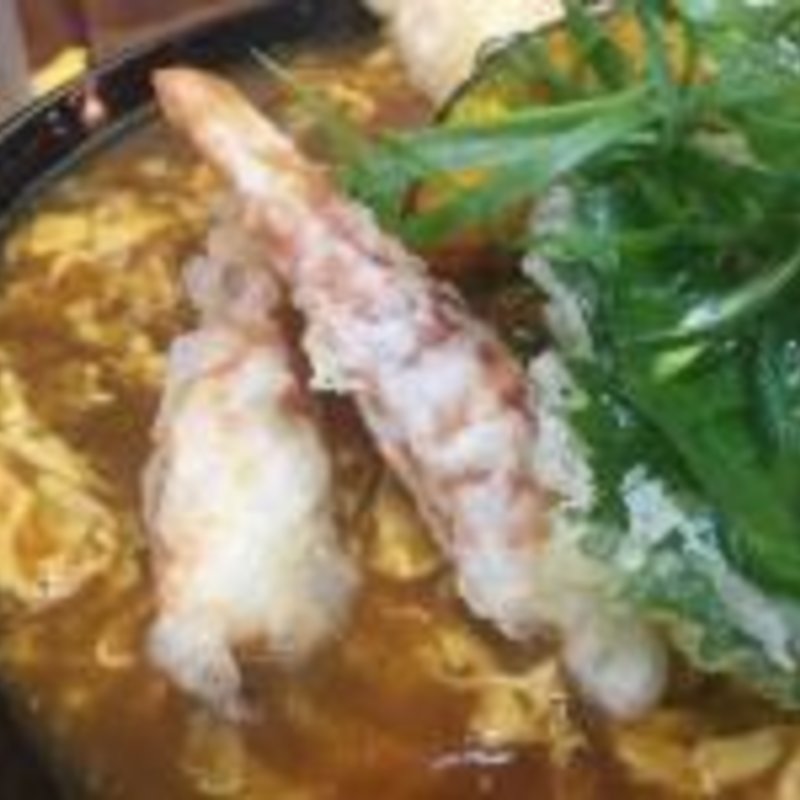 天ぷらカレーうどん(麺くい やまちゃん)