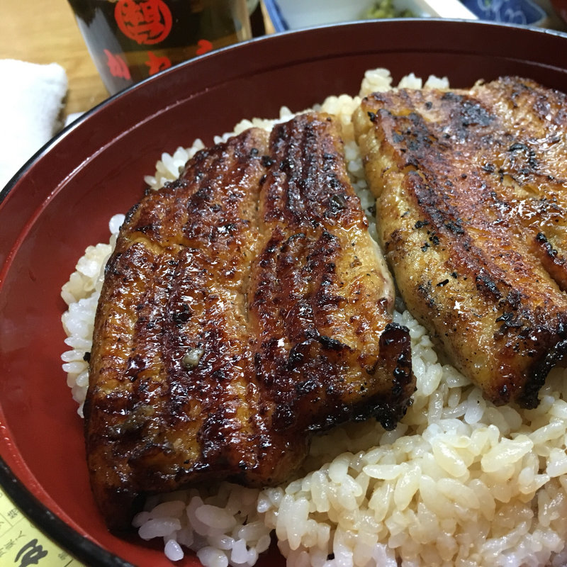 鰻丼  特(かねよ )