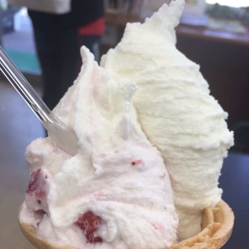 つぶつぶイチゴ、ミルク(榎本牧場　フォルトゥーナ )