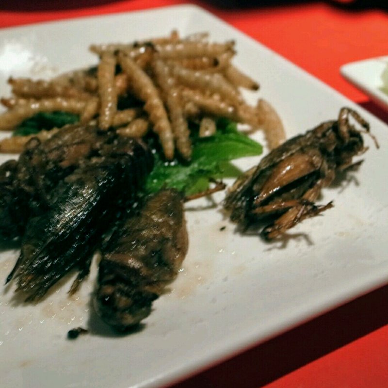 コオロギの素揚げ(珍獣屋)