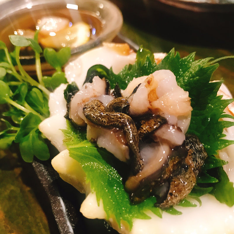 シャコ貝(わたんじ通堂町 )