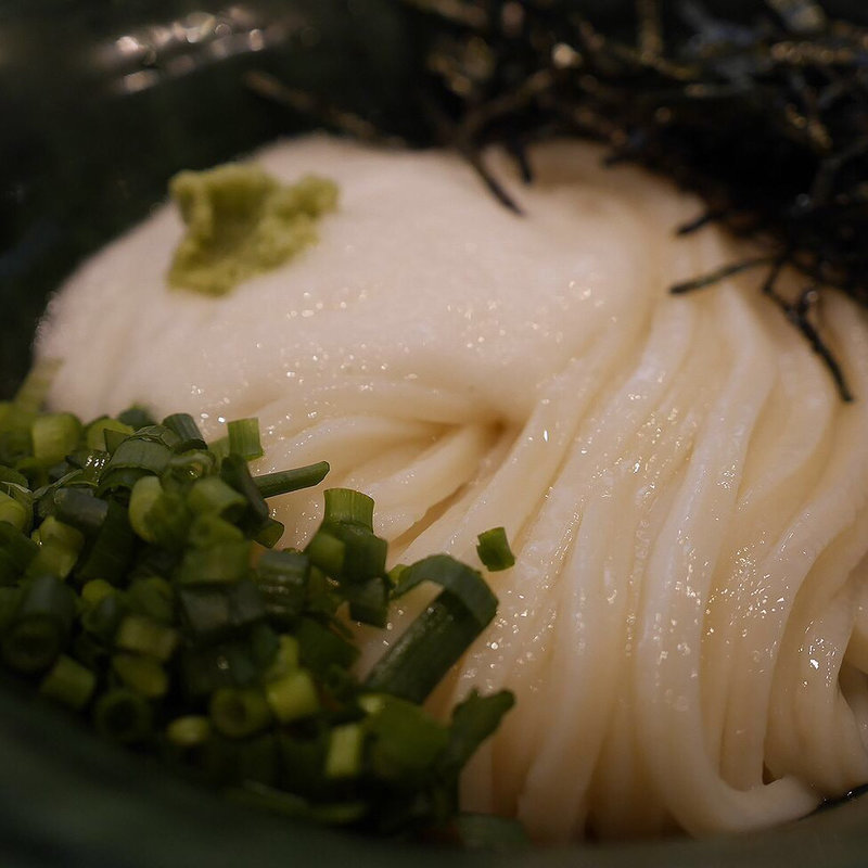 とろろ生醤油うどん(本格手打ちうどん大河)