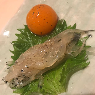 昆布締め白魚(鮨 紺乃)