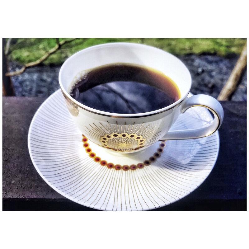 ケニア(自家焙煎珈琲店 COFFEE iPPO （カフェ イッポ）)