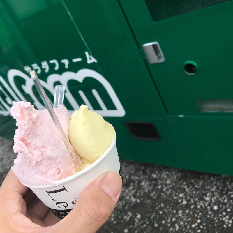 ジェラート(サラダ ファーム デリ （Salad Farm DELI）)