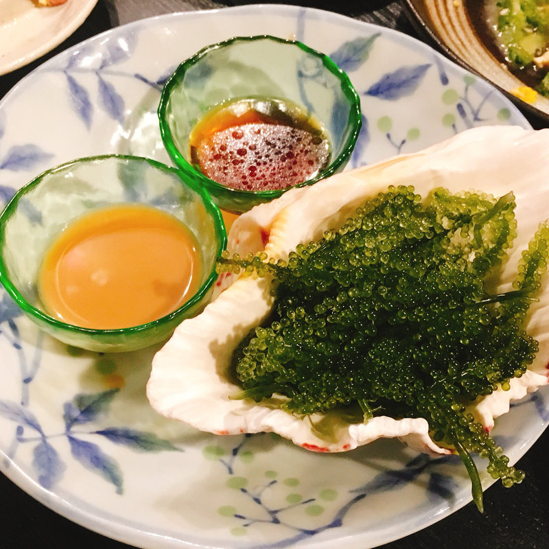 海ぶどう(沖縄パラダイス )