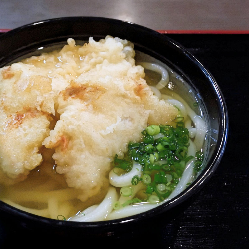 かしわ天うどん(手打ちうどん大蔵)