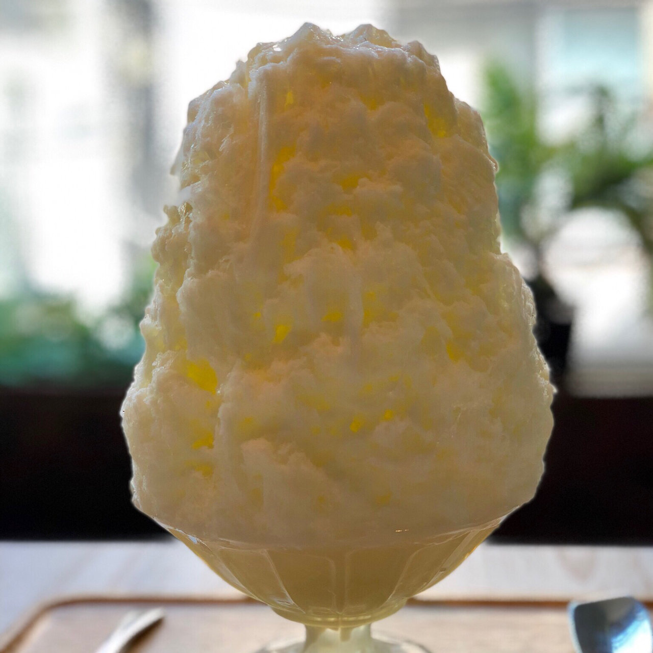 自家製ミルク ブン ブン ブラウ カフェ ウィズ ビーハイヴ Bum Bun Blau Cafe With Beehive の口コミ一覧 おいしい一皿が集まるグルメコミュニティサービス Sarah