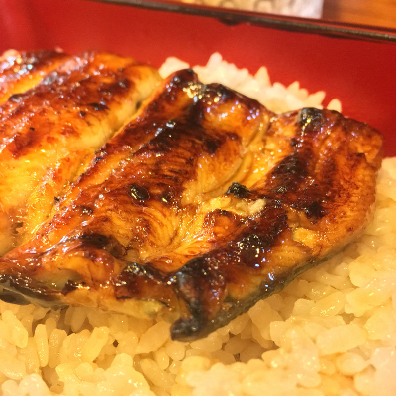 うな重 松(うな泉)