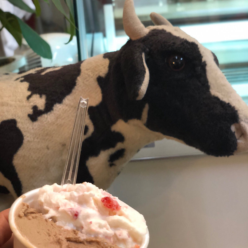 ダブル(アイスクリーム工房ぼぼり)