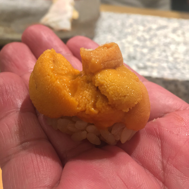 雲丹(鮓木村建介)