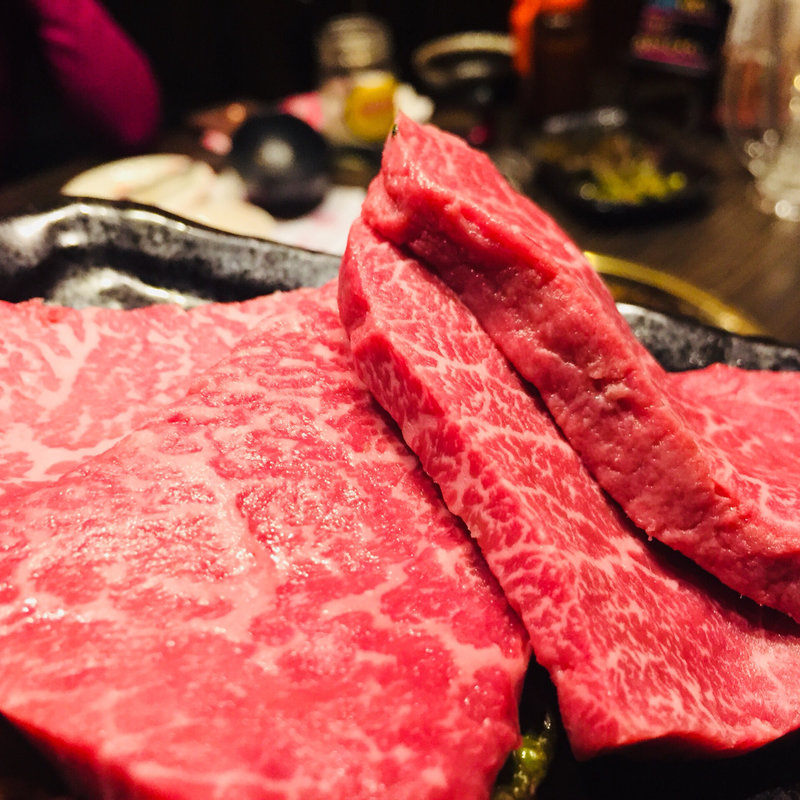 シンシン(松風 （マツカゼ）)