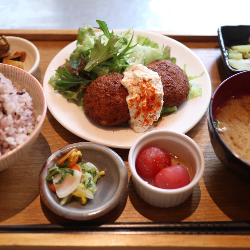 豆腐ハンバーグプレート(ムモクテキカフェ （mumokuteki cafe）)