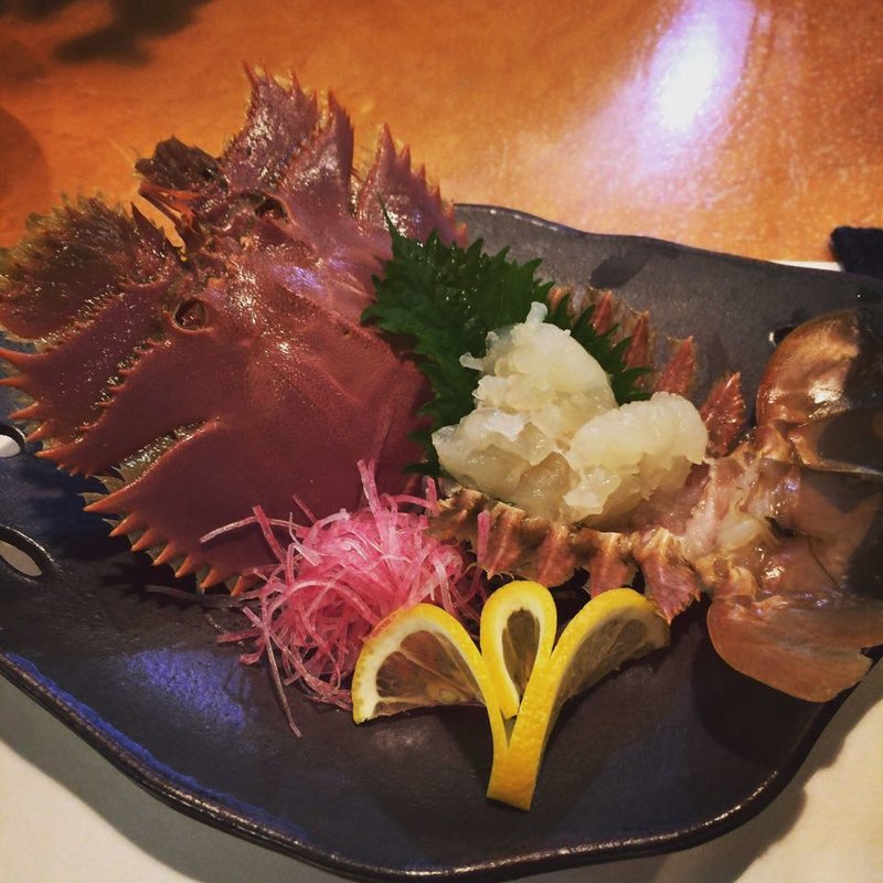 うちわエビ(もめん)