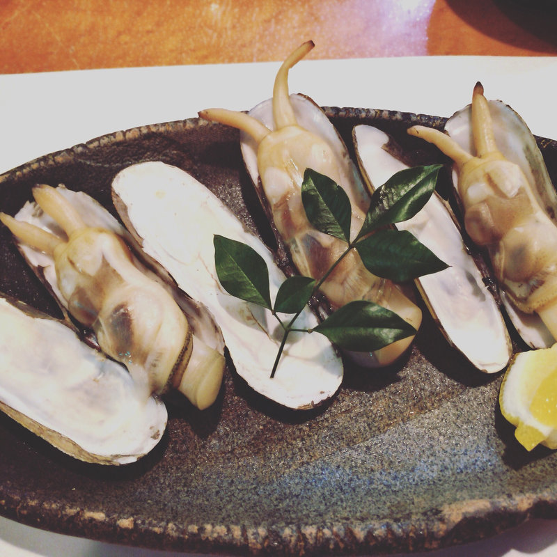 あげまきがい(もめん)