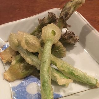 たらの芽と葱坊主の天ぷら(コノ花まひろ )