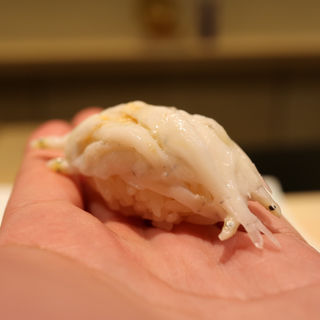 白魚(鮨なんば)