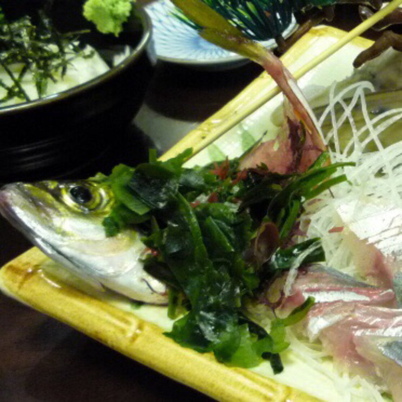 鯵の活き造り(鳥恵)