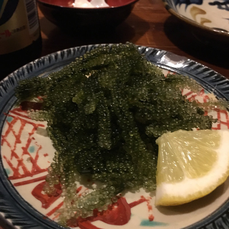 海ぶどう(ゆうなんぎい)