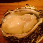 岩牡蠣(ほどがや千成鮨)