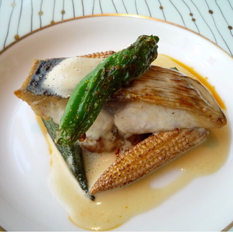 サゴシのポワレ(ストラスヴァリウス Strasvarius)