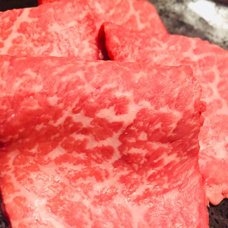 メガネ(松風 （マツカゼ）)