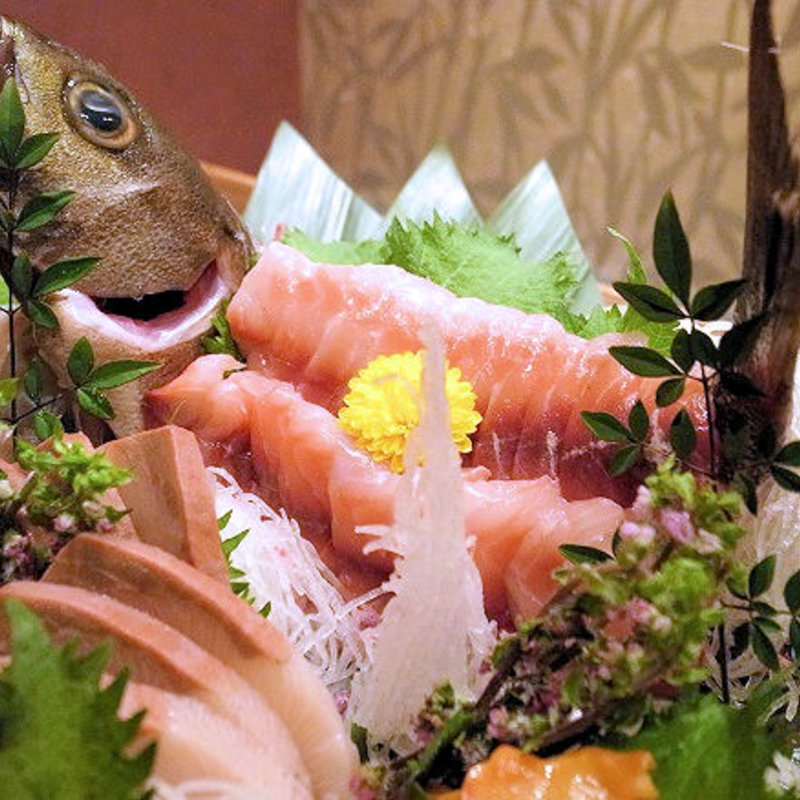 イサキの姿造り(名古屋コーチン専門居酒屋　尾張邸 人形町店 )