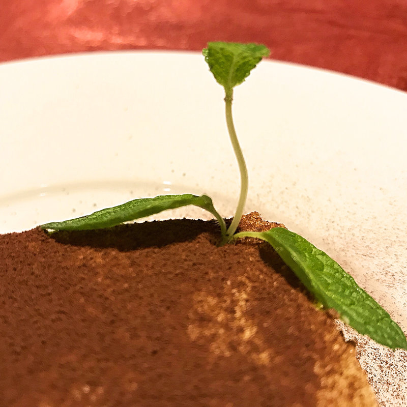 ティラミス(ロゼッタ 下松 )