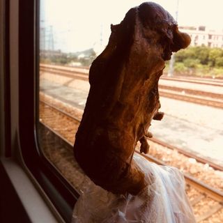 骨付き鶏もも肉の八角煮(九広鉄道国際列車)