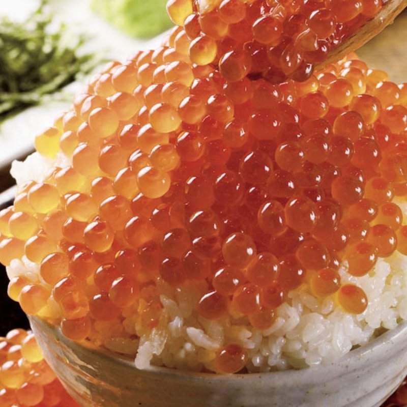 いくら飯(ときしらず )