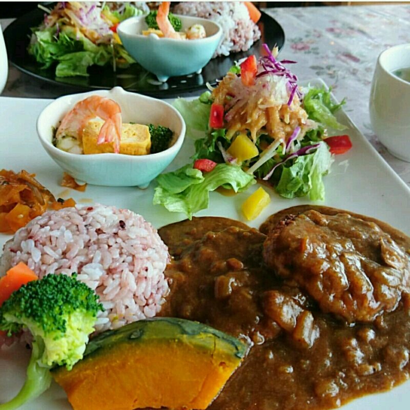 豆腐ハンバーグ＆カレープレート(星の花 （ホシノハナ）)