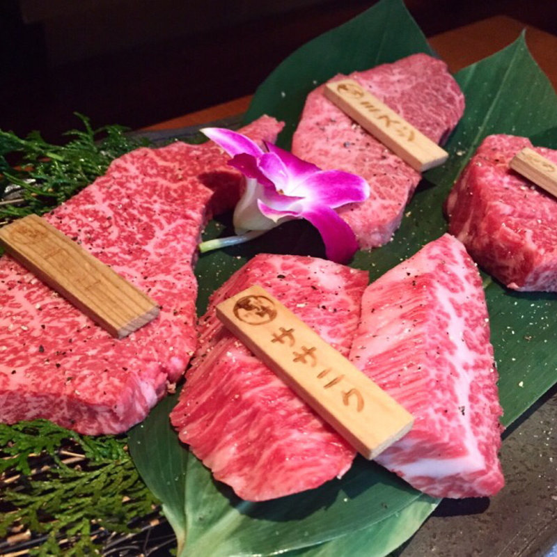 【王道の炭火焼】菊(飛騨牛一頭家 馬喰一代 長良本家 （ヒダギュウイットウヤ　バクロイチダイ　ナガラホンケ）)