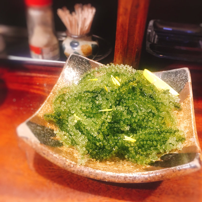 海ぶどう(抱瓶 （ダチビン）)