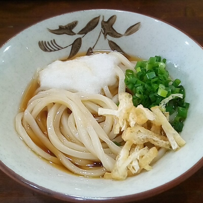 かけうどん(讃岐うどん河野 )