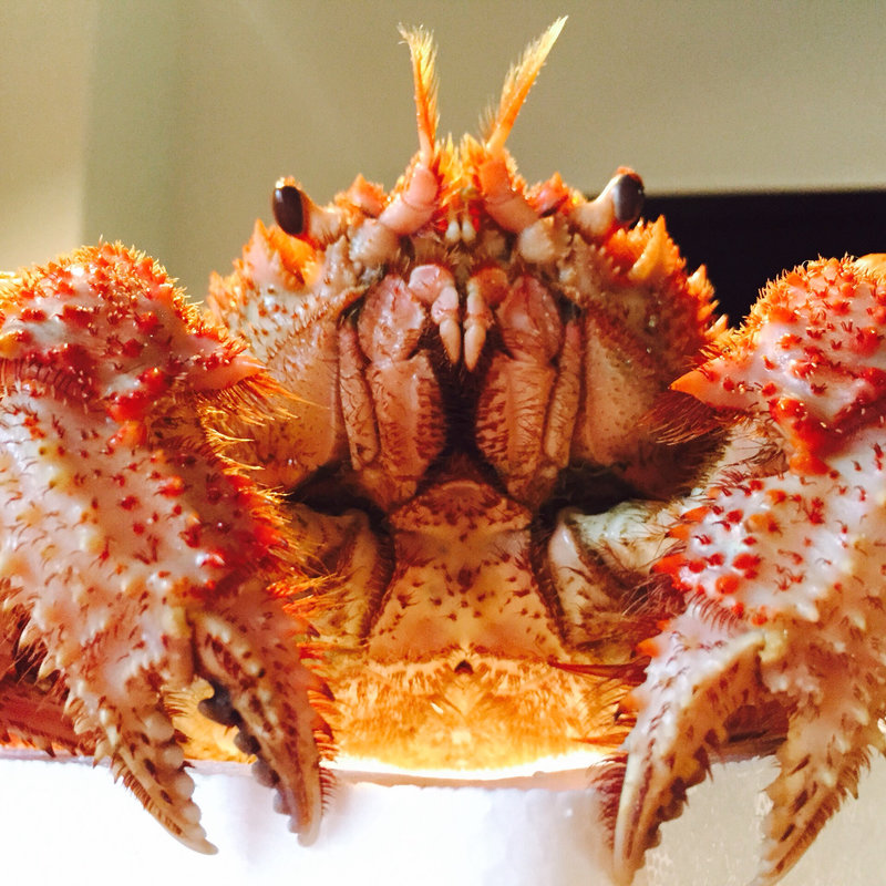 流氷開け毛蟹(山長石沢水産)