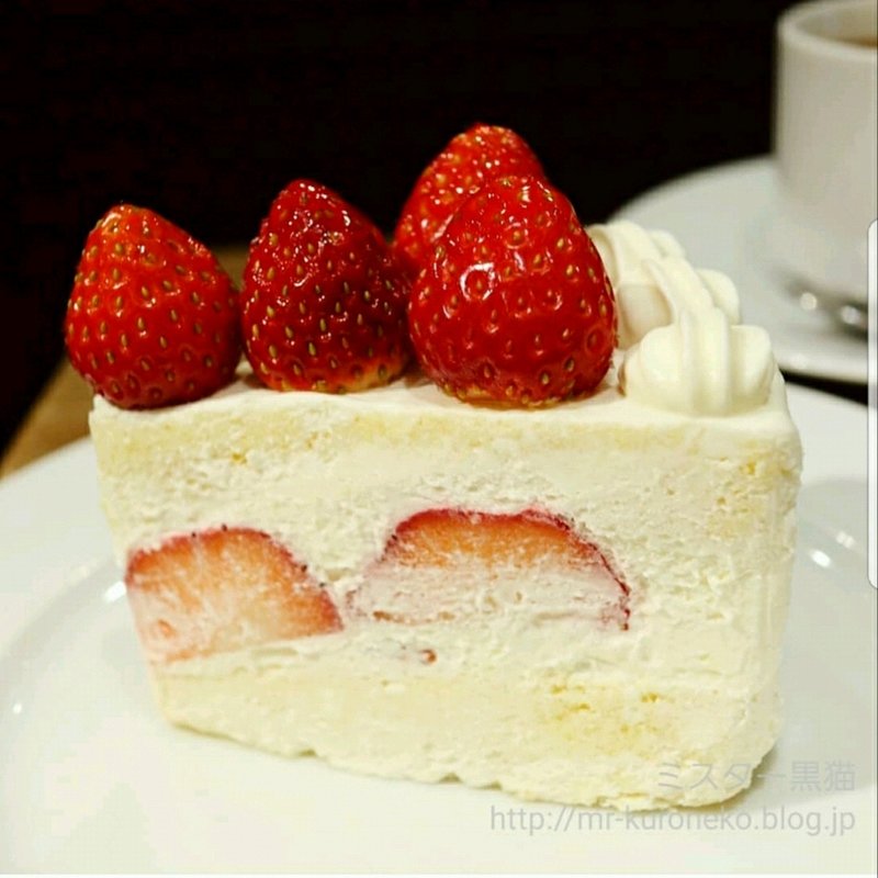 シャンティフレーズ(カカオストア＆プリンカフェ448)