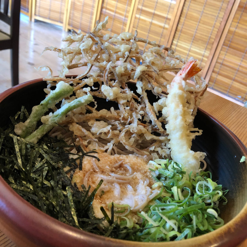 ごぼう天そば(手打ちそば処 麺歩（めんぽ）)