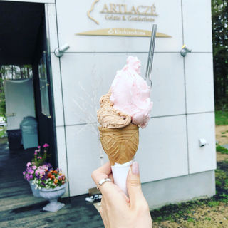上野幌駅周辺で食べられるアイスクリームランキング Sarah サラ