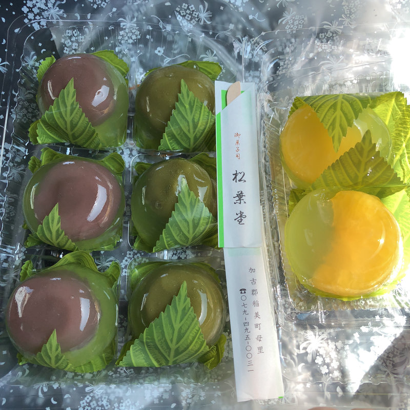 水まんじゅう(和菓子司 松葉堂 （わがしし まつばどう）)