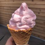 大沢いちごのソフトクリーム(神戸市立フルーツ・フラワーパーク　ひまわりの種 )