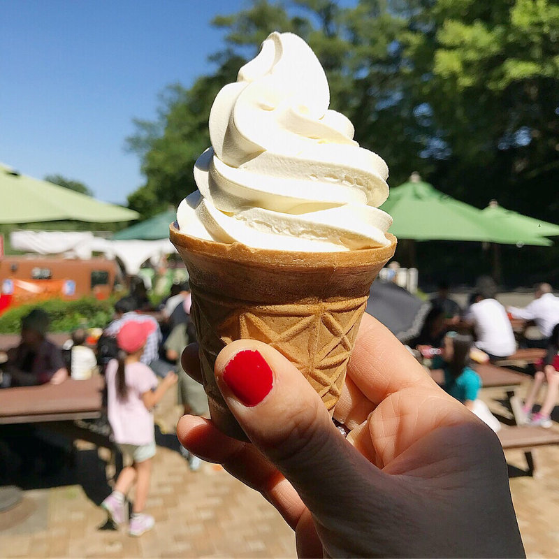 ソフトクリーム(多摩動物公園　コアラ下休憩所 )
