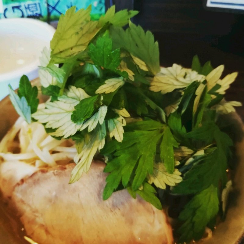 魚介G麺(麺道 くろとん )